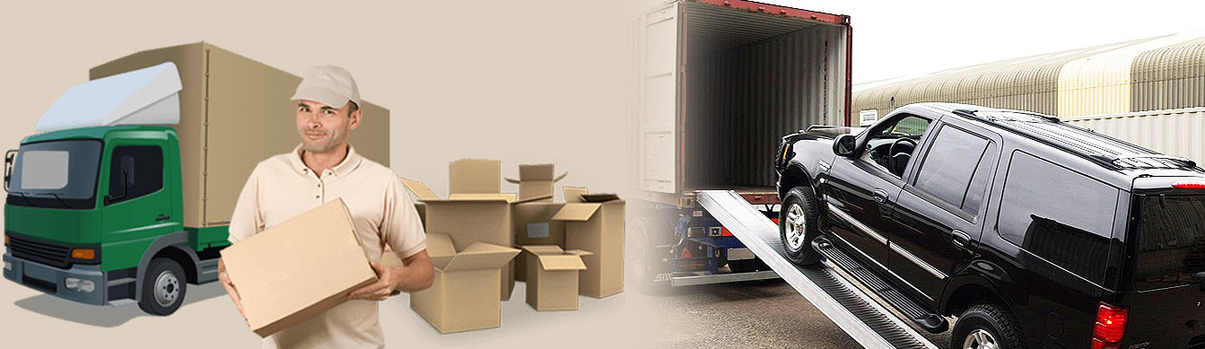 SIMPLIFY YOUR LOGISTICS SOLUTIONS